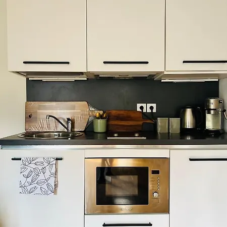 Black Pearl By Vysehrad Castle Appartement